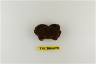 藏品(絨毛仿銀杏蟹)的圖片